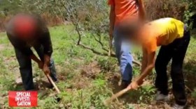 “ممالك الحشيش” تثبت تورّط أمنيين مغاربة في تهريب “الزطلة”