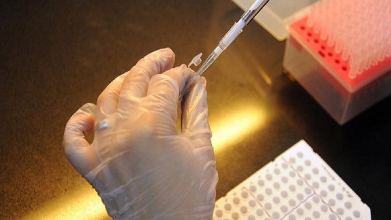علماء بريطانيون يستخدمون فيروسًا لعلاج سرطان المخ
