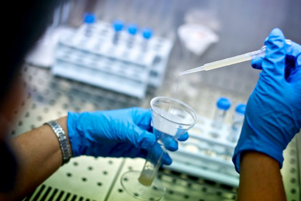 10.000 DA pour préserver la fertilité chez les couples atteints de cancer