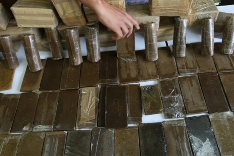 ONLDT: 11 tonnes de résines de cannabis saisis en 4 mois