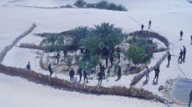 Four tones of Moroccan smuggled drugs seized in Algeria
