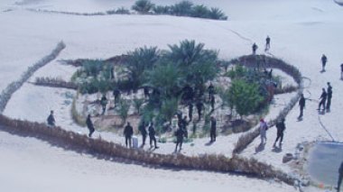 Four tones of Moroccan smuggled drugs seized in Algeria