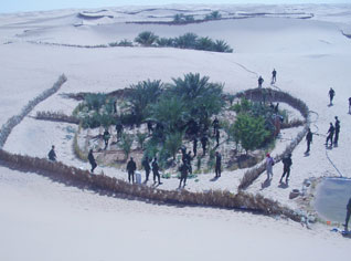 Four tones of Moroccan smuggled drugs seized in Algeria