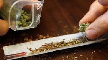 Lutte contre la drogue : des ministères et d’autres organismes pour une lutte efficiente