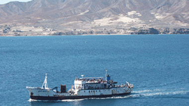 Algeria-bound â€™missing cargo shipâ€™ spotted off Cape Verde