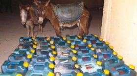 Contrebande: Plusieurs saisies effectuées par l’ANP