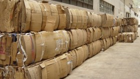 نشاط استرجاع الورق في الجزائر يستعيد حيويته