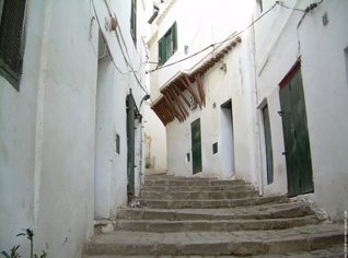 10 million Algerians likely to build houses in water dam heights