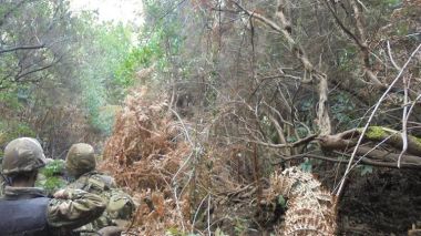 ANP: 12 casemates découvertes,plusieurs saisies effectuées