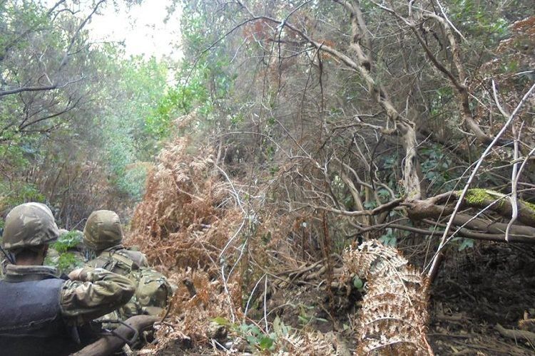 ANP: 12 casemates découvertes,plusieurs saisies effectuées