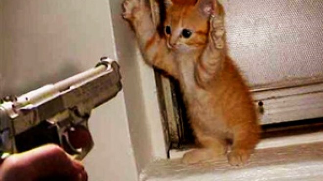 امرأة تحاكم بتهمة قتل هر وأطباء يستخرجون عمودا حديديا من دماغ طفل