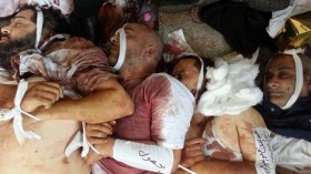 بحث في فائدة الضمير الإنساني في مصر