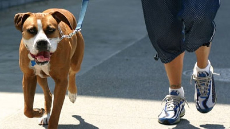 شاب هندي يقتل امرأة بسبب نباح كلبها