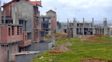 Cement destroyed 150.000 hectars of Agricultural lands