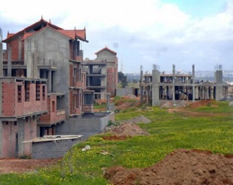 Cement destroyed 150.000 hectars of Agricultural lands