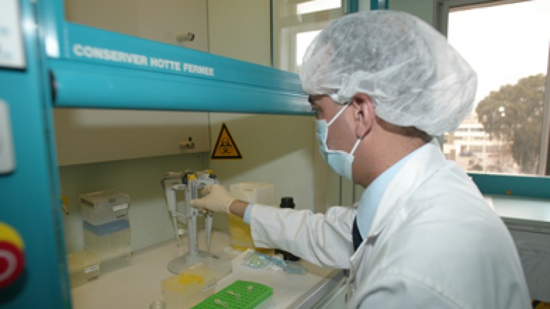 أكثر من 800 مليار لمواجهة وباء أنفلونزا الخنازير بالجزائر