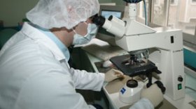 ارتفاع حالات أنفلونزا الخنازير إلى 29 إصابة في الجزائر