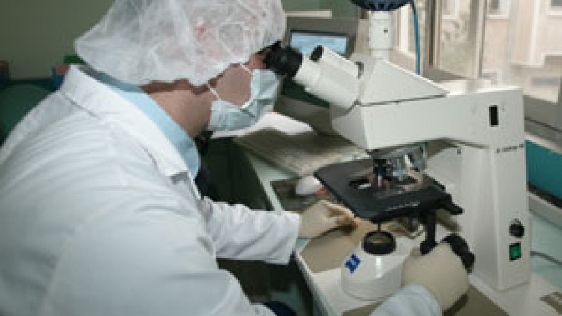 ارتفاع حالات أنفلونزا الخنازير إلى 29 إصابة في الجزائر