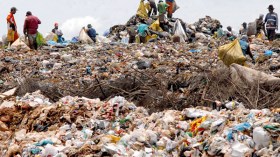 إعادة استغلال الكبد والجمبري والبرتقال الملقاة بالمزابل من طرف مجهولين