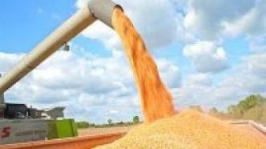 APRUE: distribution de 750 000 lampes à faible consommation dans l’Est du pays