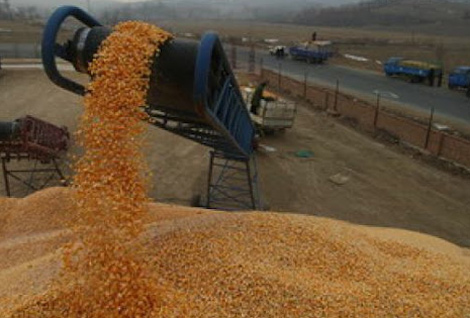 Algeria increased demands gives boost to UK wheat exports