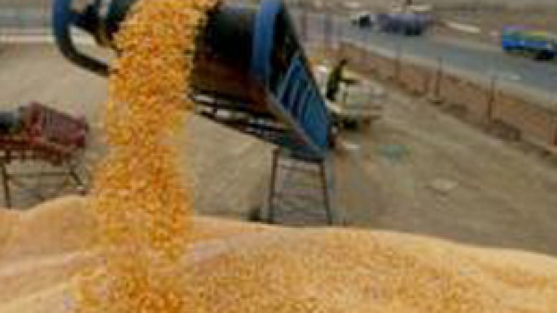 أويحي يأمر بتسريع استيراد القمح