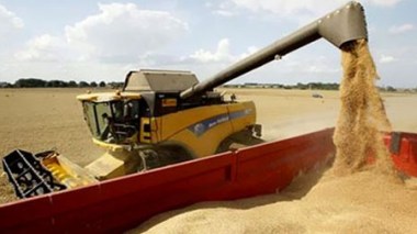Les pays arabes déterminés à relever le défi de la sécurité alimentaire