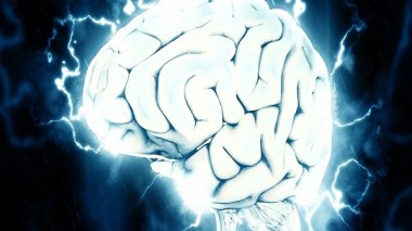 Le coronavirus est capable d’envahir le cerveau, affirme une étude