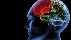 باحثون يابانيون يحاكون الدماغ البشري!