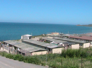 Low rate credits for Algeria earthquake victims