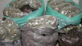 تشغيل أفارقة في ورشة لصناعة “الشمة” المقلدة بالمسيلة