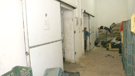 انعدام غرف التبريد يكبّد الفلاحين خسائر جمة بعاصمة النفط