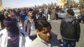 شركات بترولية “توظف” 600 كلب  بـ 735 مليون شهريا !