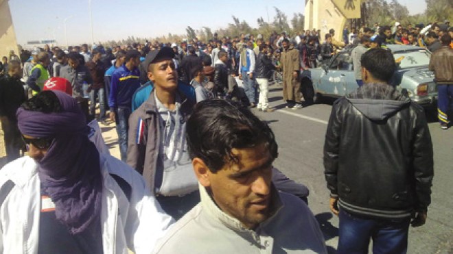 شركات بترولية “توظف” 600 كلب  بـ 735 مليون شهريا !