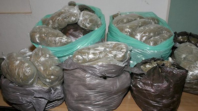 حجز 8 قناطير من الشمة في المسيلة