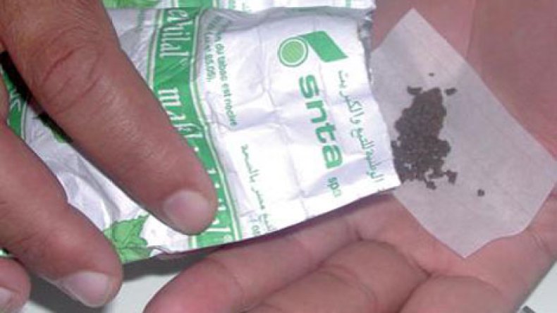 الجزائريون يستهلكون 700 مليون كيس من “الشمة” سنويا