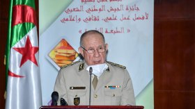 أمن واستقرار ووحدة الجزائر من أولوياتنا