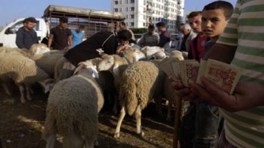 Les barons du cheptel imposent leur diktat : un mouton à crédit pour les cadres de l'État et cash pour les «zawalis».