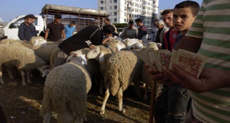 Les barons du cheptel imposent leur diktat : un mouton à crédit pour les cadres de l'État et cash pour les «zawalis».