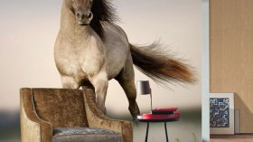 الرسومات الثلاثية الأبعاد.. سحر القلم والألوان