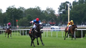 نفوق حصان “متهوّر” في سباق للخيول