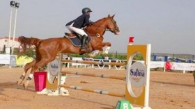 5 أعضاء من الجمعية العامة لاتحادية الفروسية يلجؤون إلى “التاس”