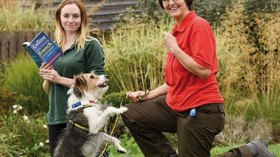 كلب ضال لا يستجيب سوى للمتحدثين باللكنة الفرنسية