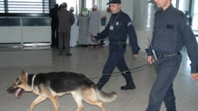 جهاز الشرطة يتعزز بكلاب بوليسية مختصة في الكشف عن المتفجرات