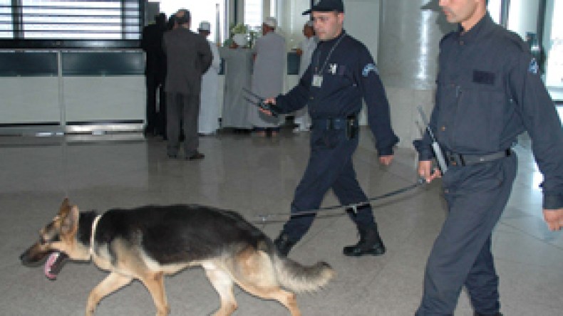 جهاز الشرطة يتعزز بكلاب بوليسية مختصة في الكشف عن المتفجرات
