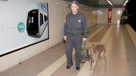 “كومندوس” لتأمين حدائق التسلية والمراكز التجارية بالعاصمة