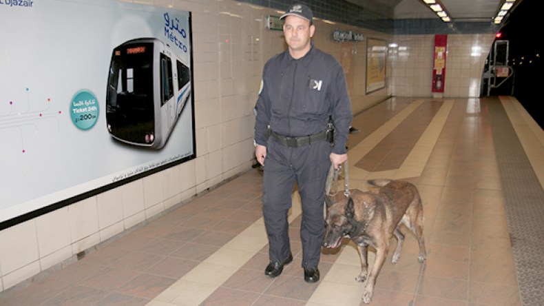 “كومندوس” لتأمين حدائق التسلية والمراكز التجارية بالعاصمة