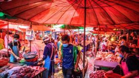 Chine: Un nouveau virus de grippe porcine découvert, propice à une pandémie