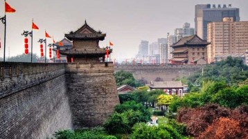 من (yin) إلى (yan)