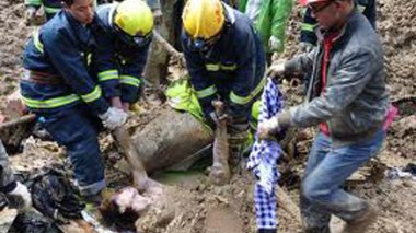 Des glissements de terrain endeuillent la Chine